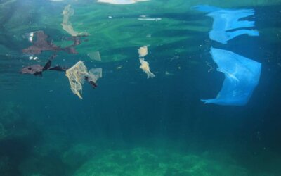 预防和减少黄海和渤海的微塑料负荷